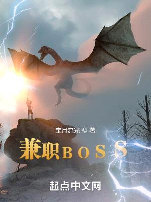 兼职BOSS封面